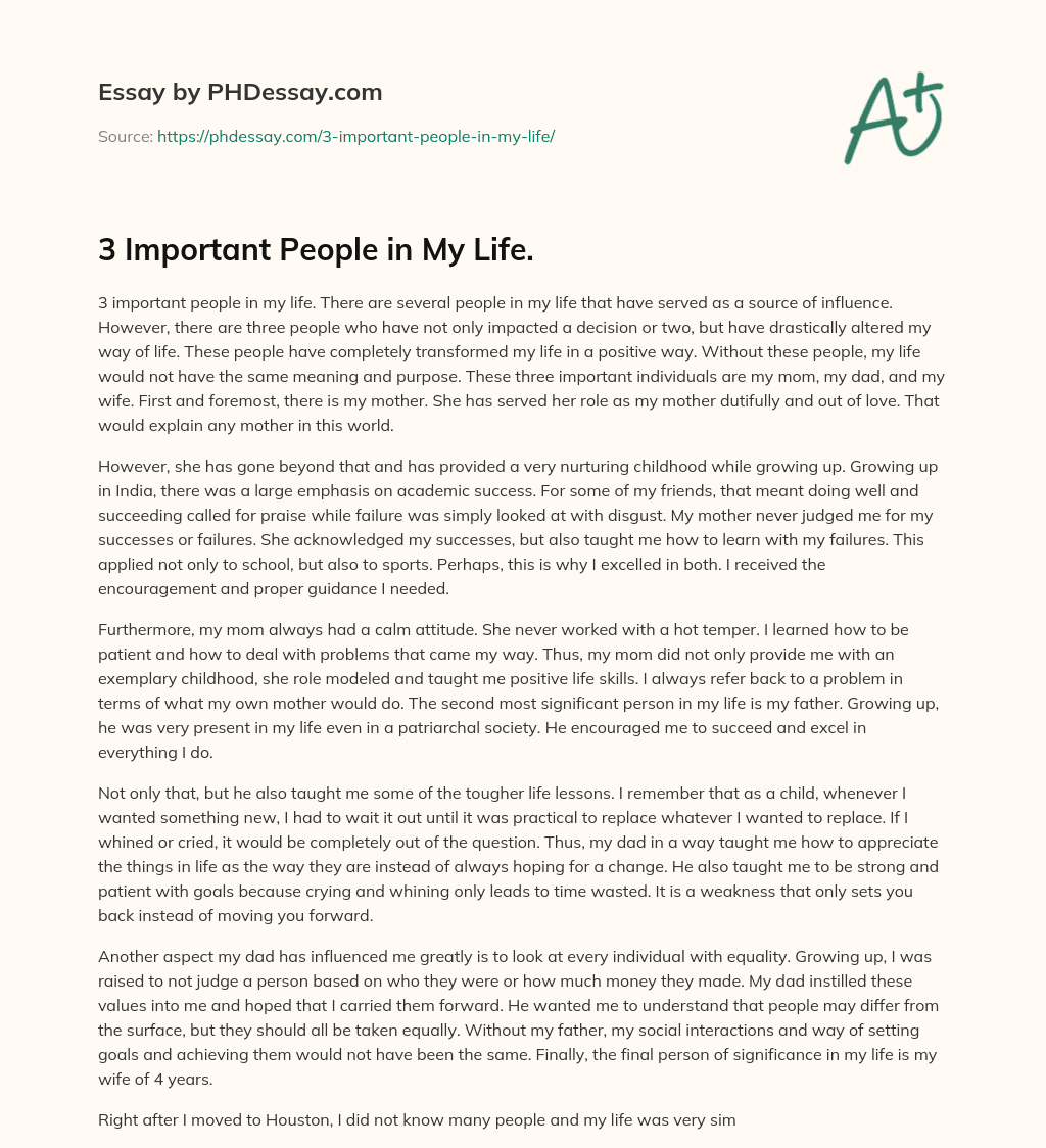 what is important to you in life essay