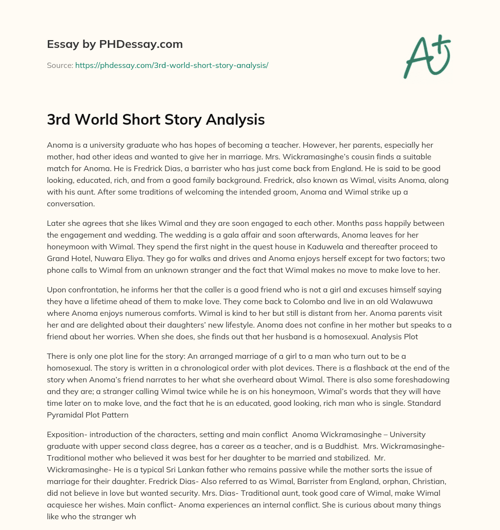 3rd World Short Story Analysis essay