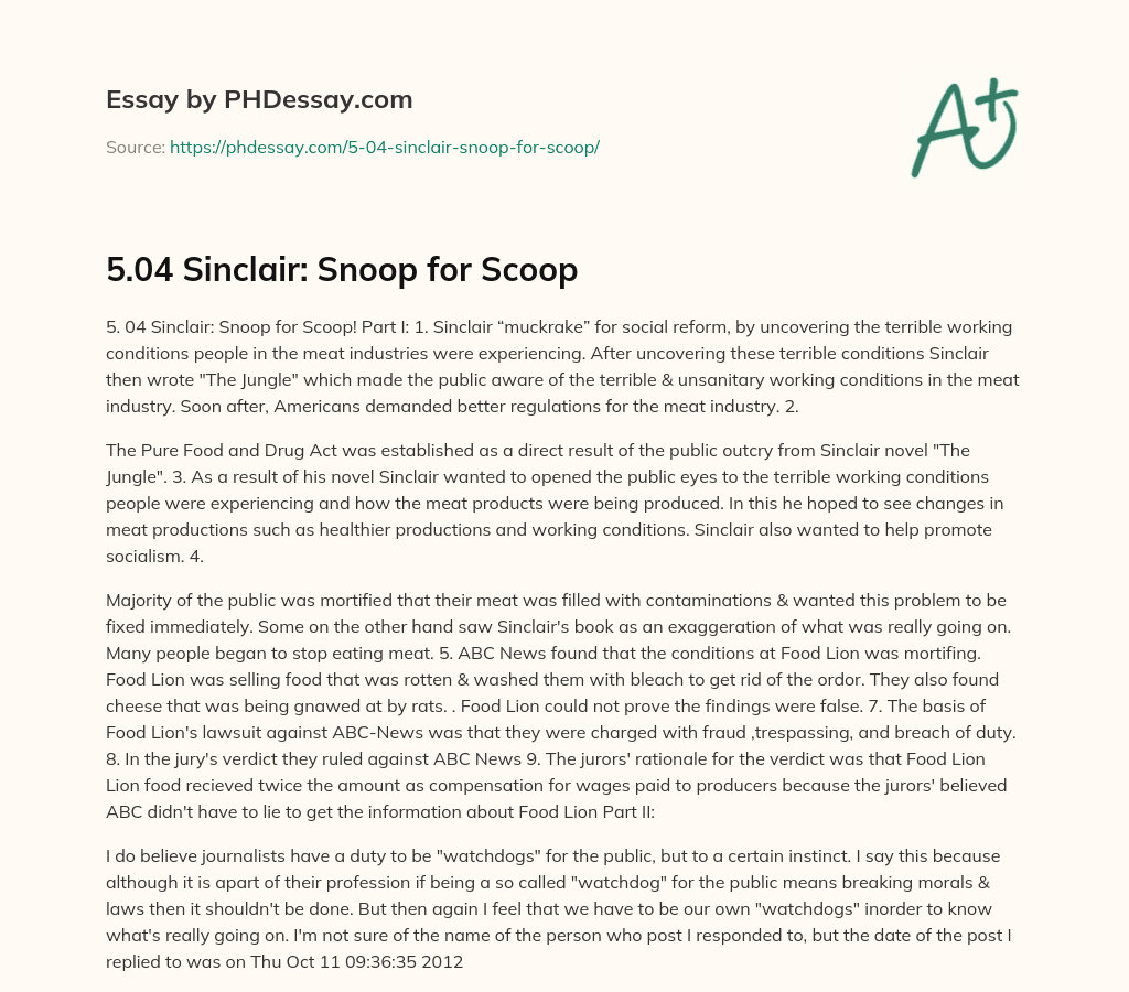 5.04 Sinclair: Snoop for Scoop essay
