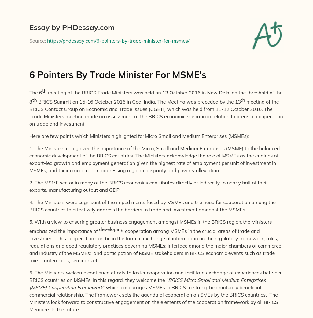 6 Pointers By Trade Minister For MSME’s essay