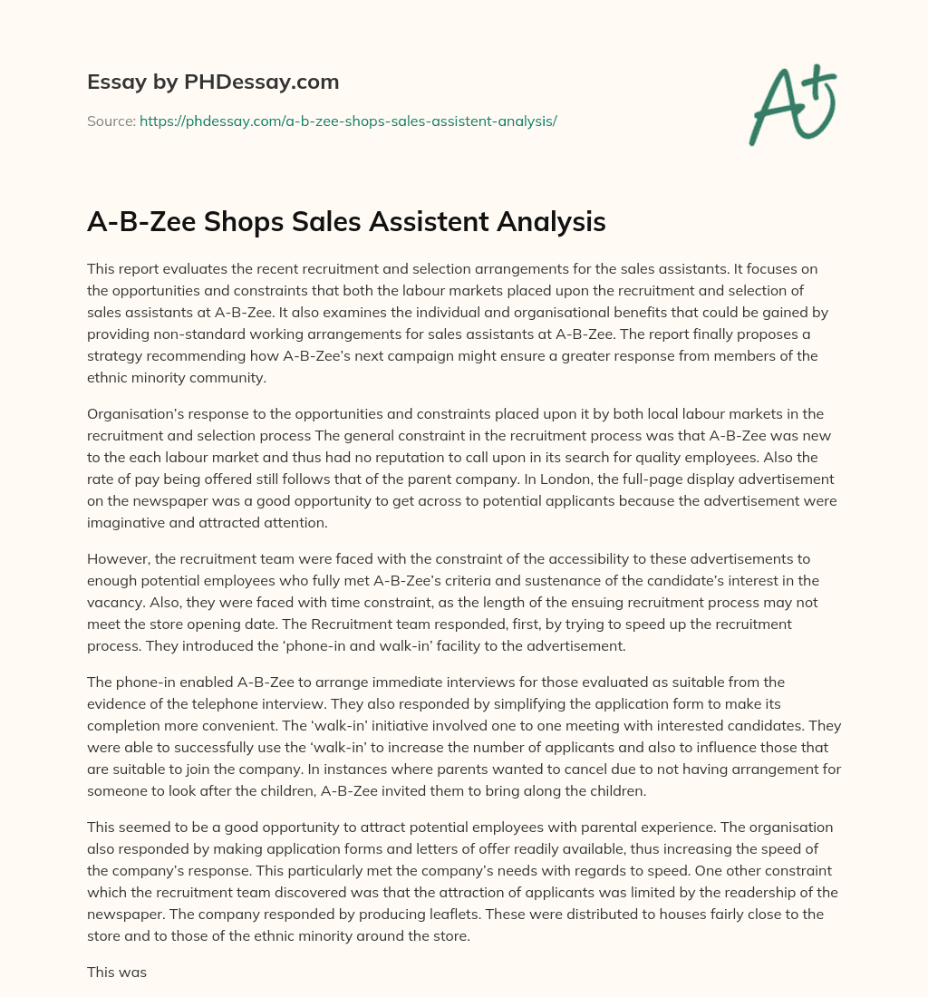 A-B-Zee Shops Sales Assistent Analysis essay