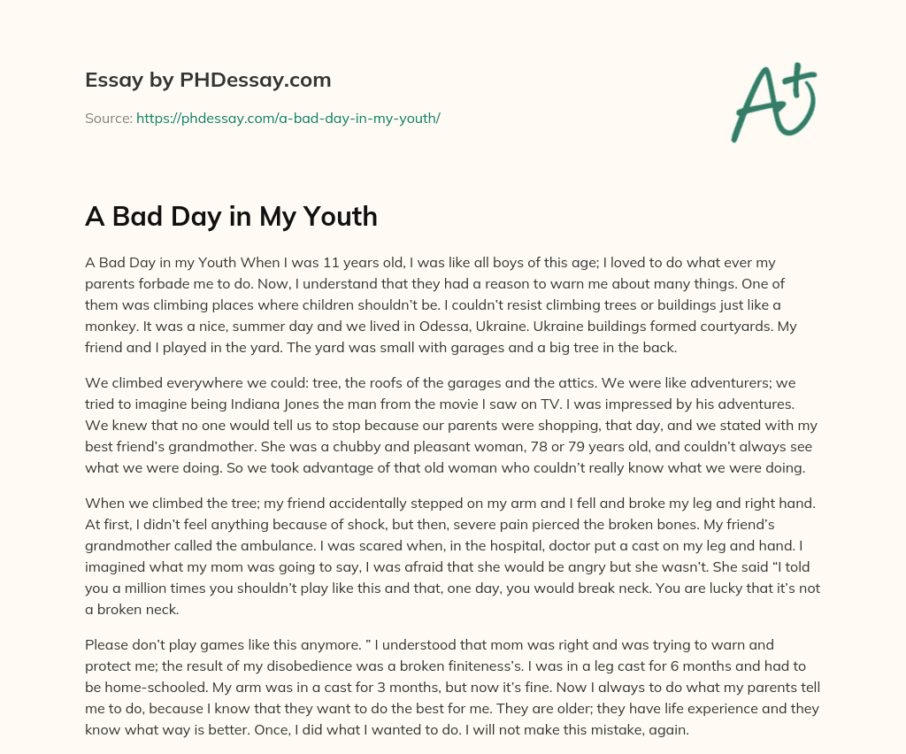 A Bad Day in My Youth essay
