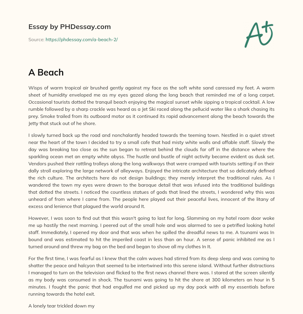 Tranquil Beaches and Bustling Streets: A Tropical Adventure essay
