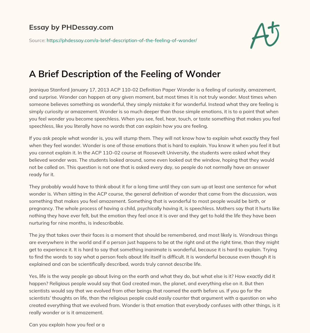 A Brief Description of the Feeling of Wonder essay