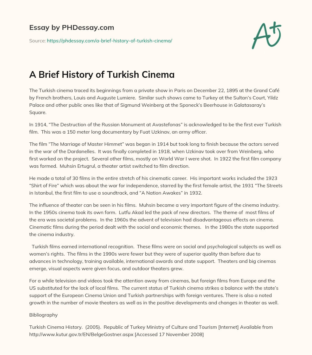A Brief History of Turkish Cinema essay