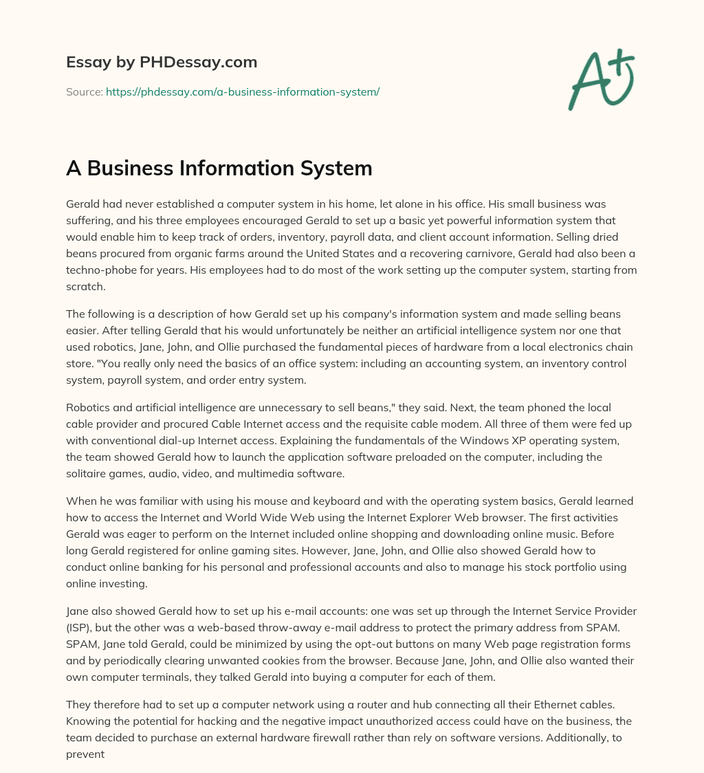 A Business Information System essay