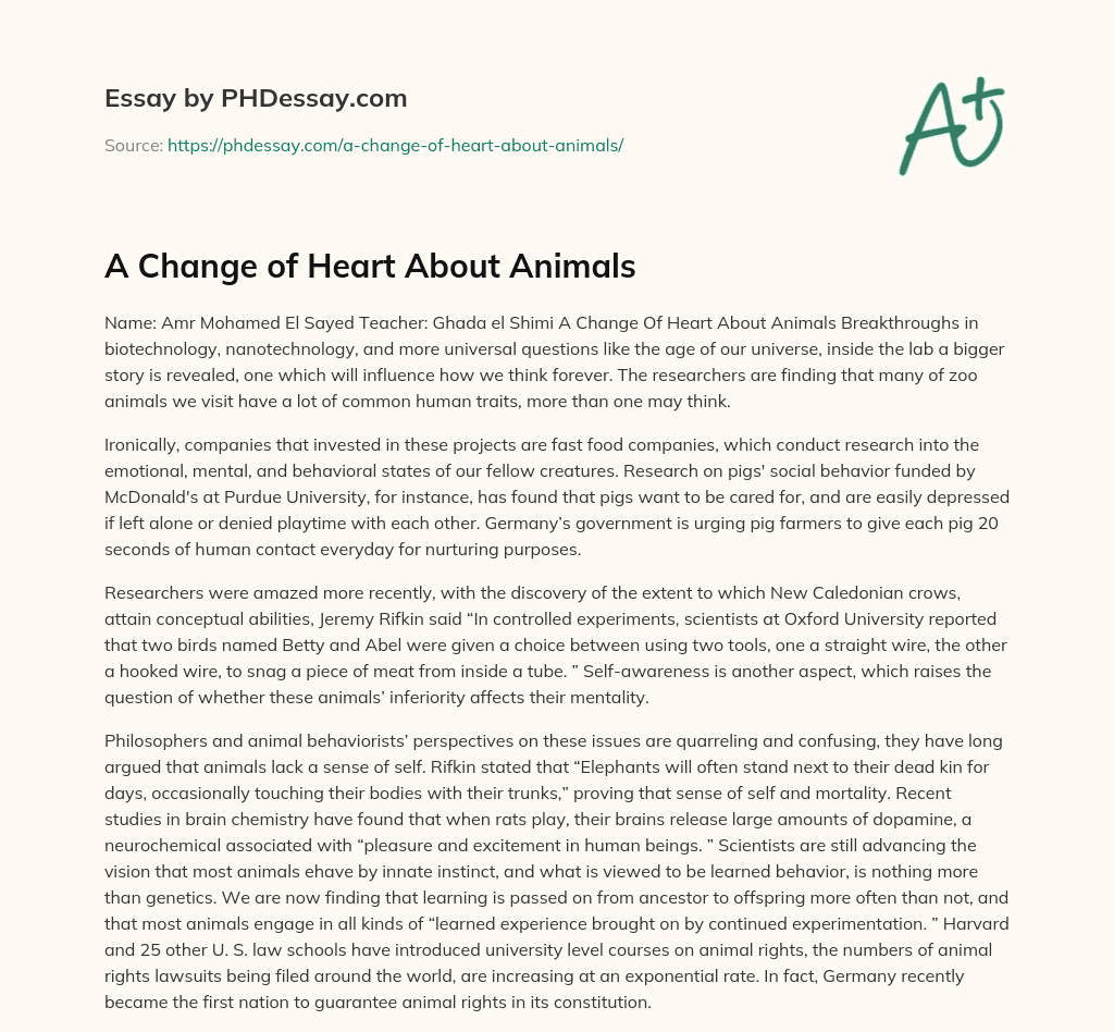 A Change of Heart About Animals essay