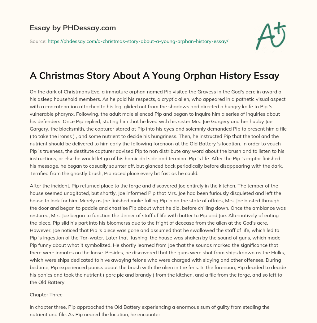 A Christmas Story About A Young Orphan History Essay essay