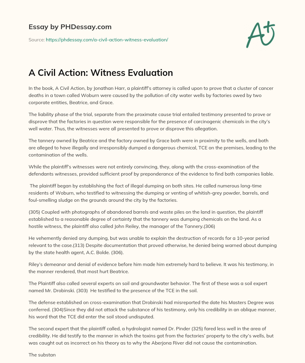 A Civil Action: Witness Evaluation essay