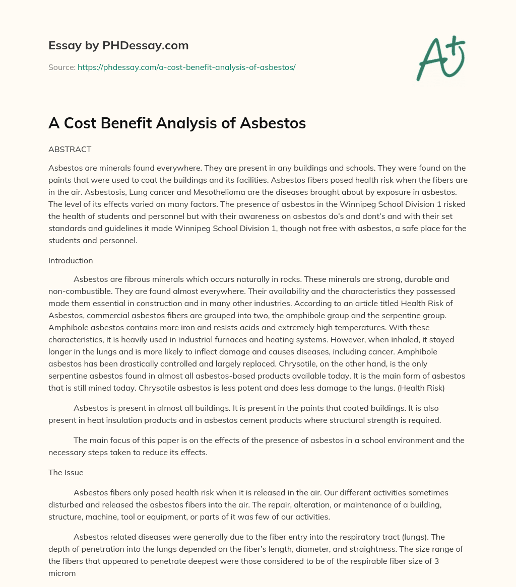A Cost Benefit Analysis of Asbestos essay
