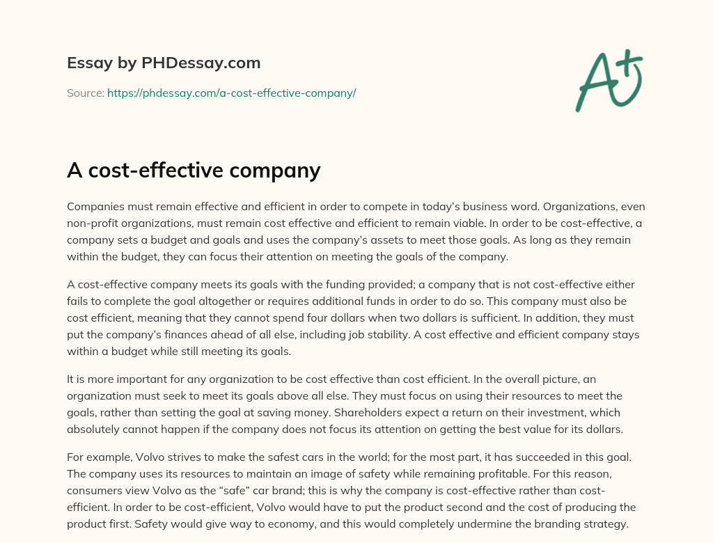 A cost-effective company essay