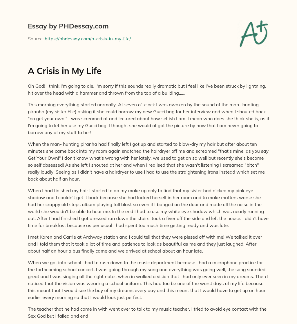 A Crisis in My Life essay