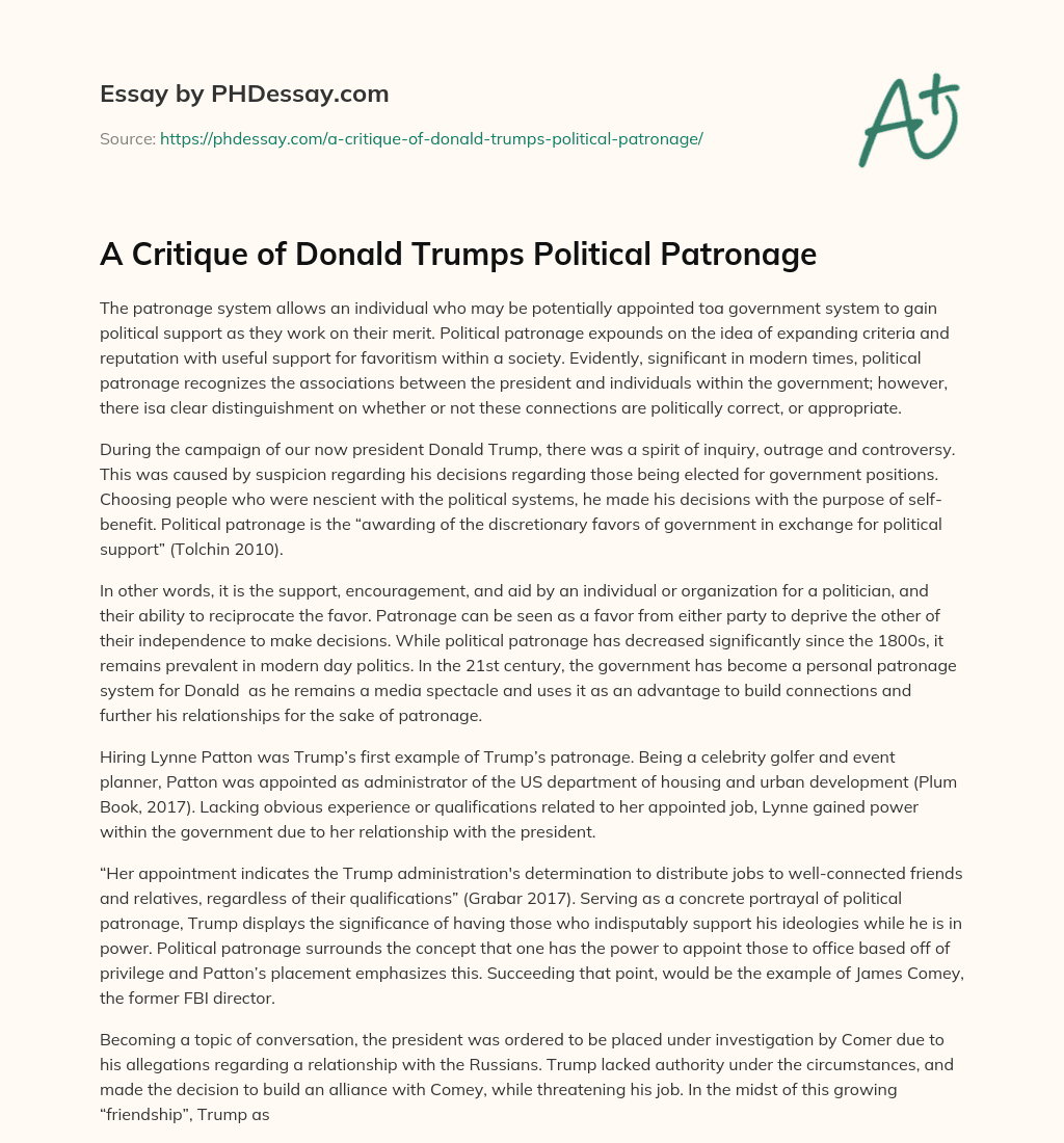 A Critique of Donald Trumps Political Patronage essay