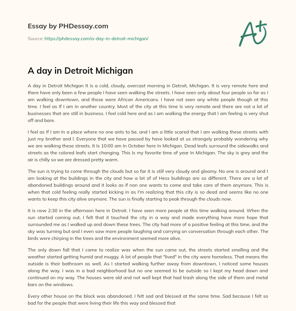 A day in Detroit Michigan essay