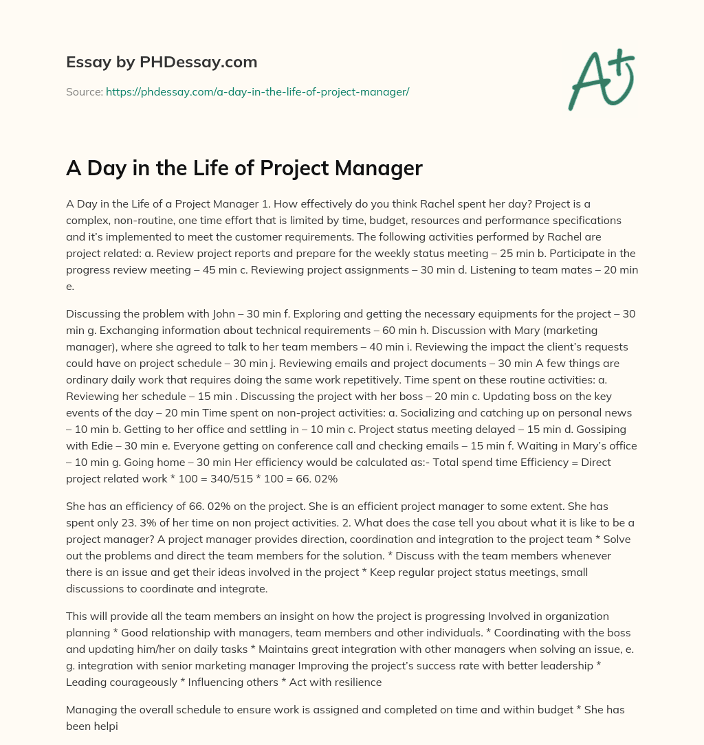 A Day in the Life of Project Manager essay