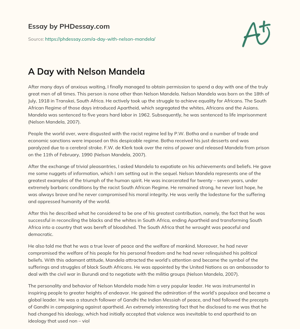 A Day with Nelson Mandela essay