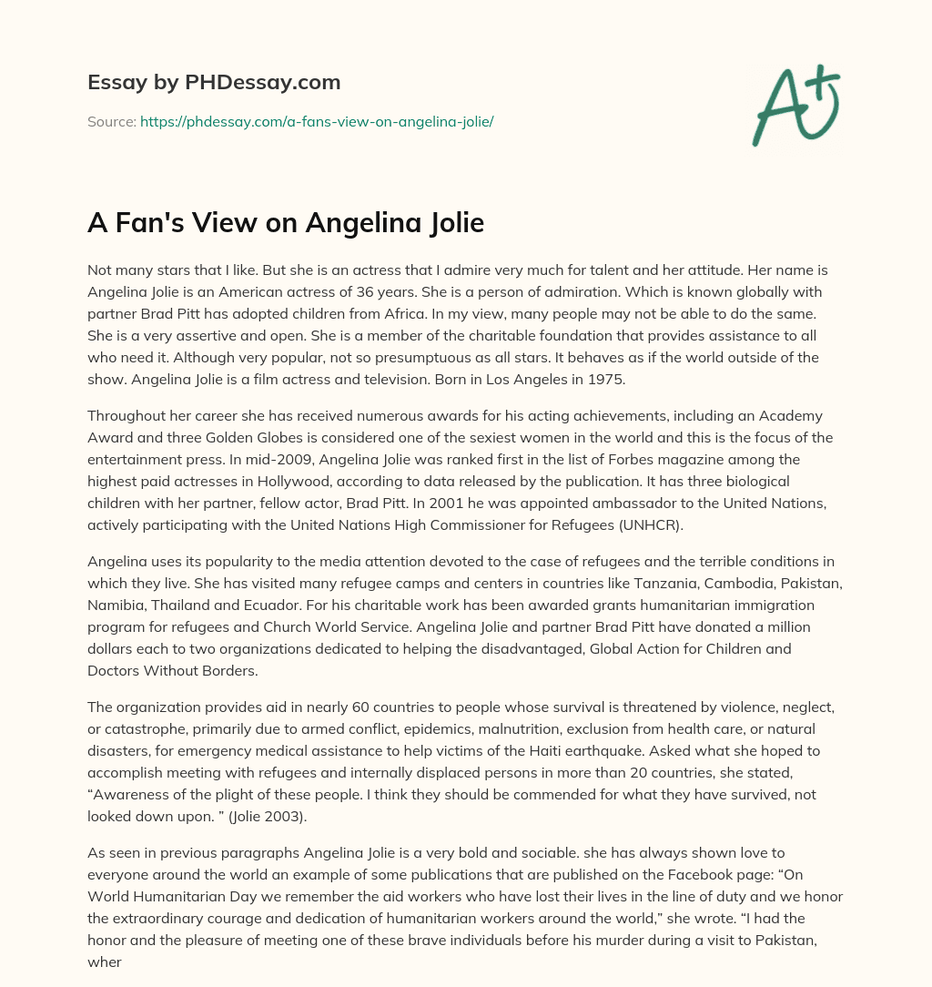 A Fan’s View on Angelina Jolie essay