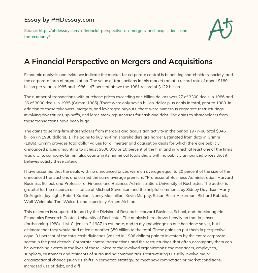 A Financial Perspective on Mergers and Acquisitions essay