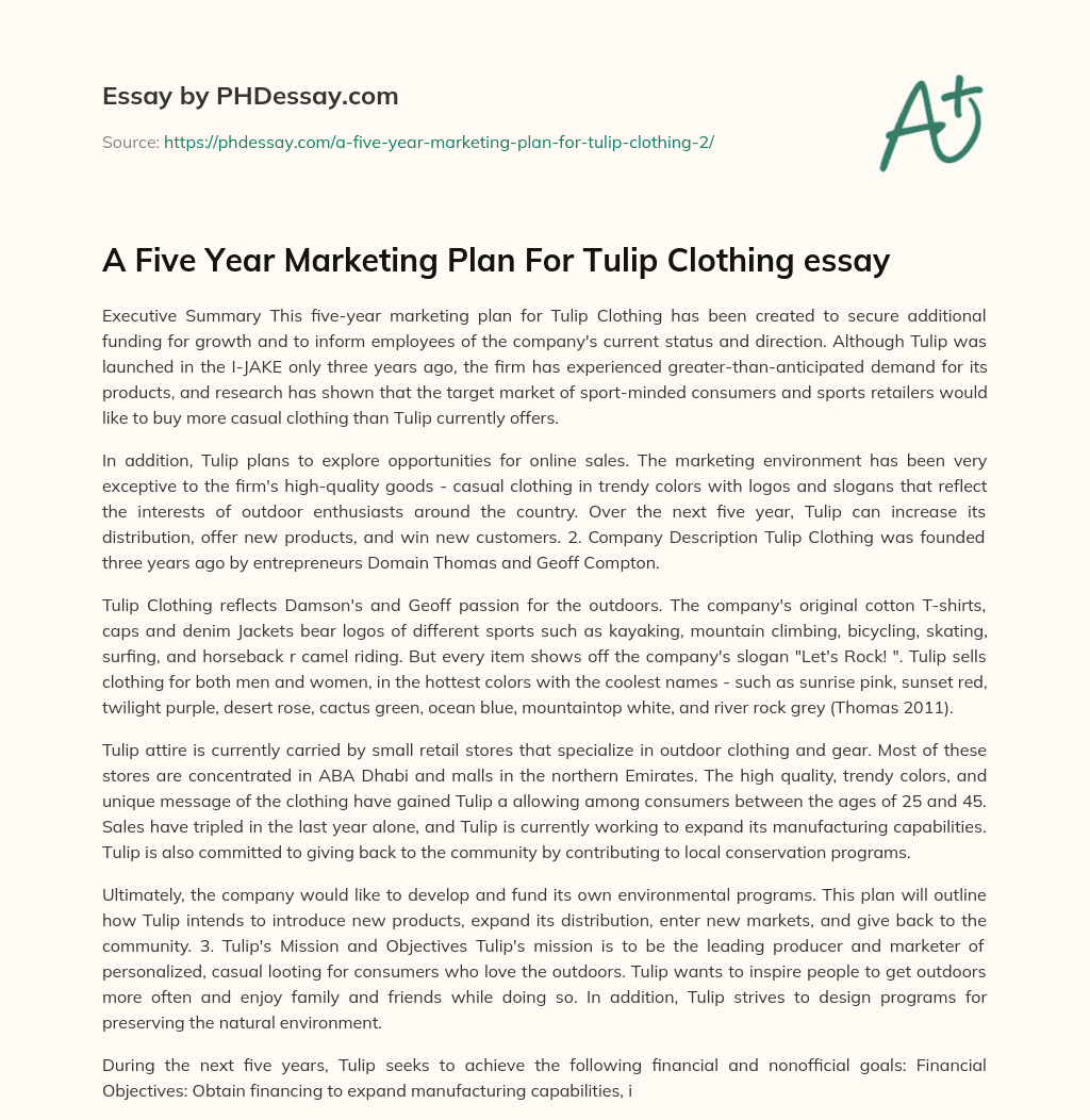 A Five Year Marketing Plan For Tulip Clothing essay essay