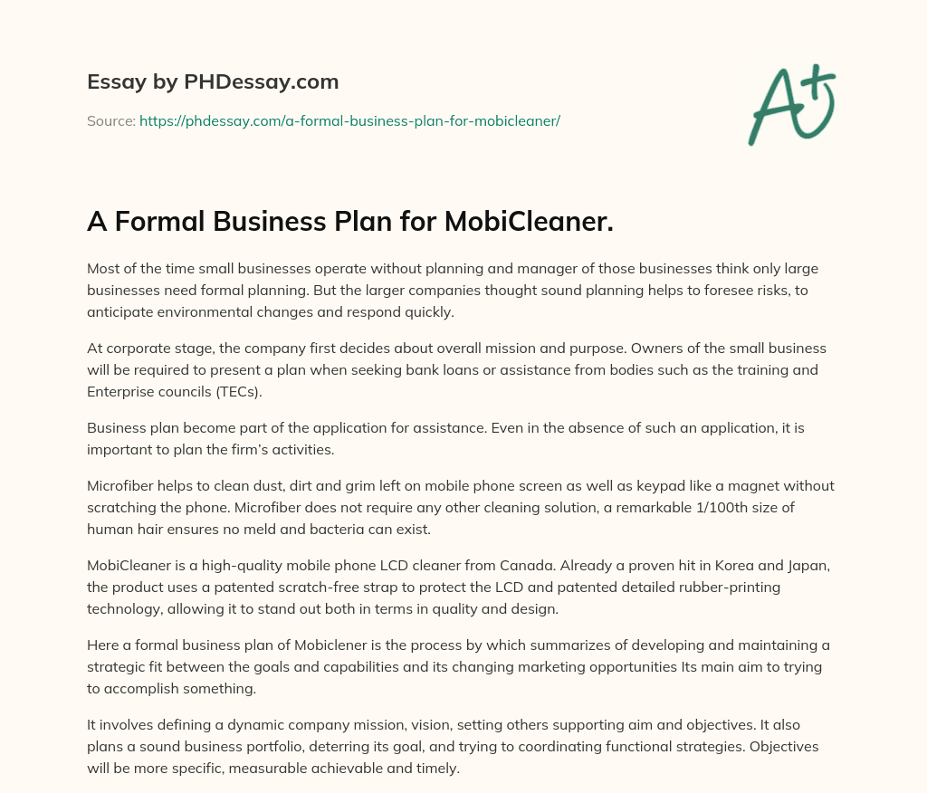 A Formal Business Plan for MobiCleaner. essay
