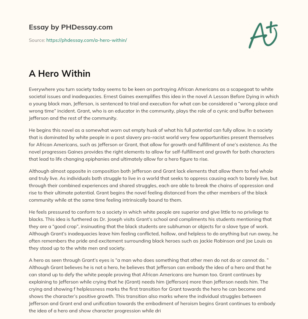 A Hero Within essay