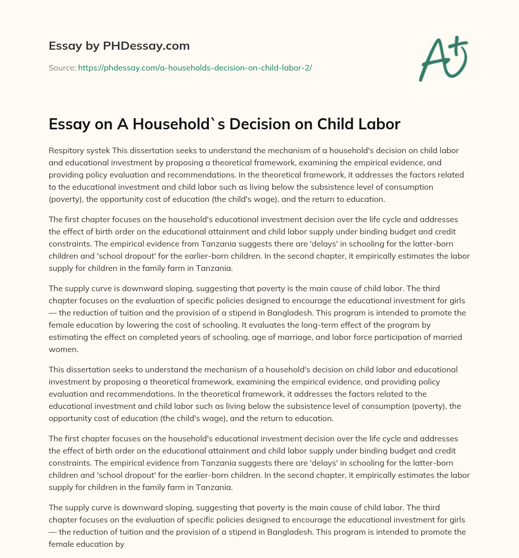 Essay on A Household`s Decision on Child Labor essay