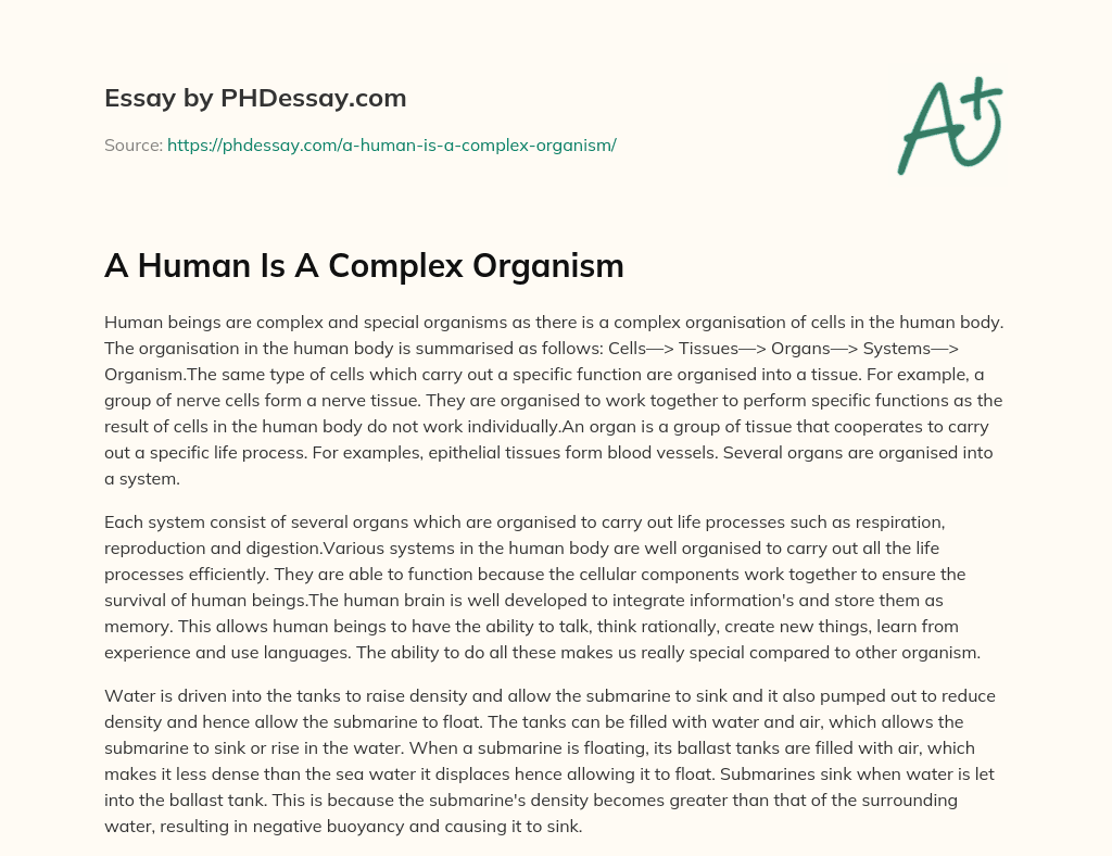 A Human Is A Complex Organism essay