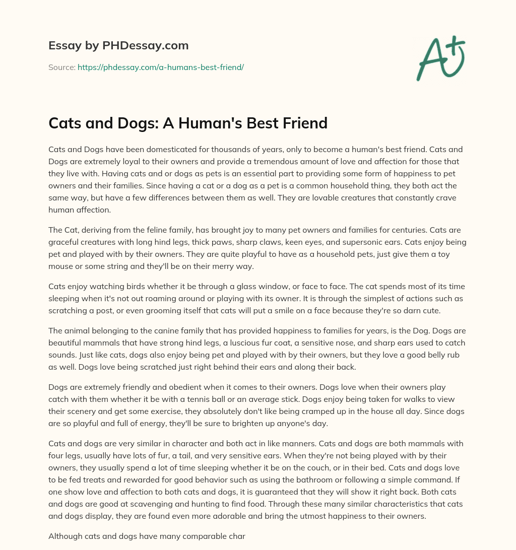 Cats and Dogs: A Human’s Best Friend essay