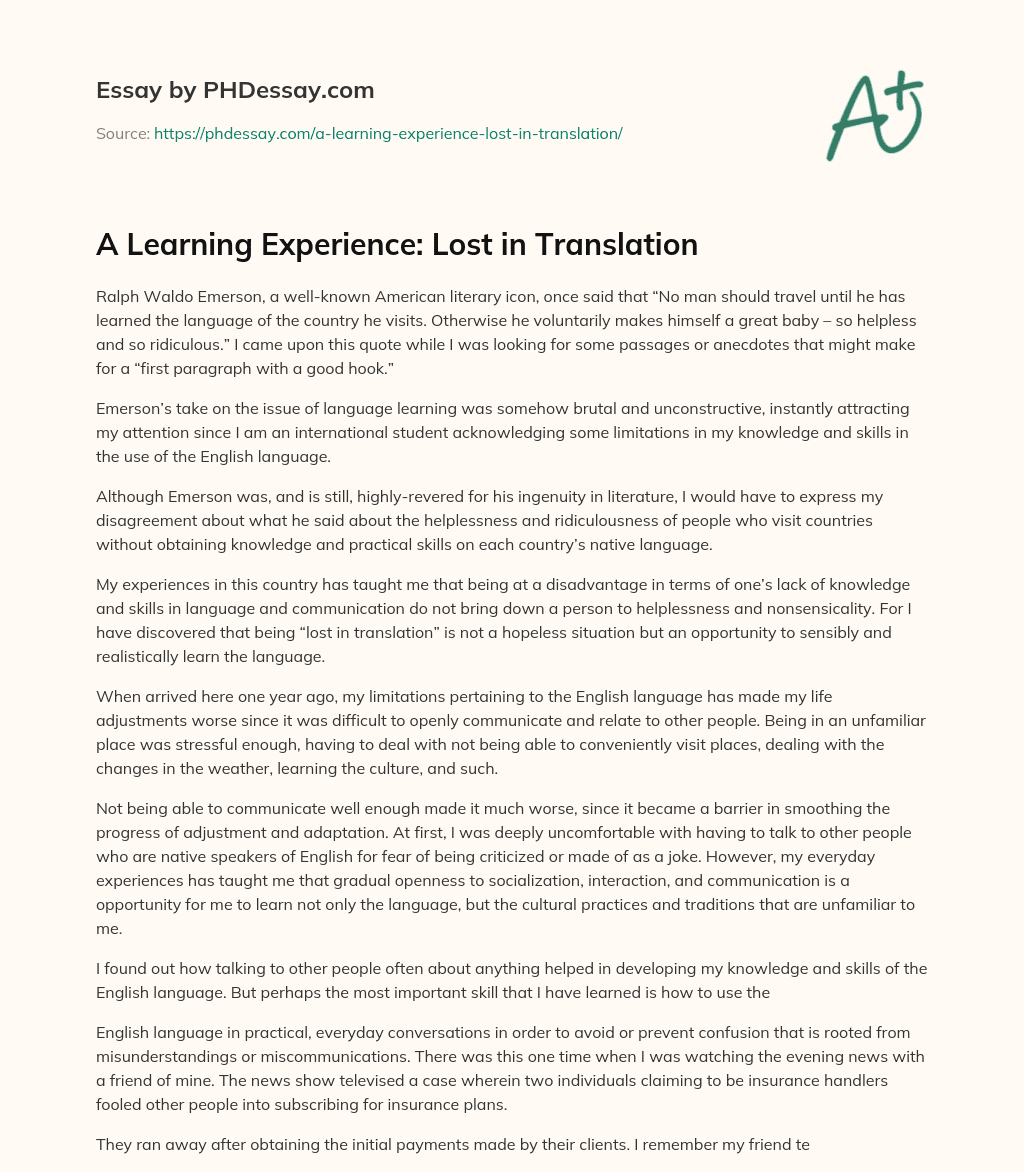 A Learning Experience: Lost in Translation essay