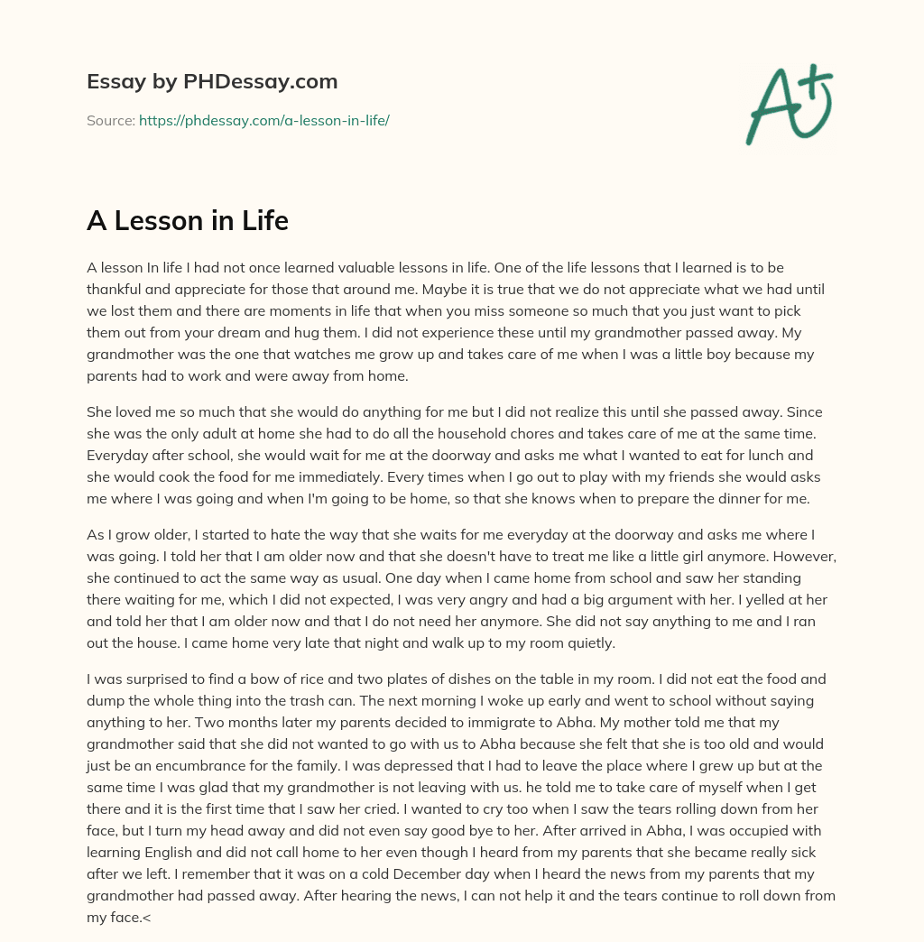 A Lesson in Life essay