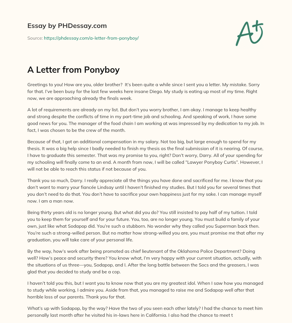 A Letter from Ponyboy essay
