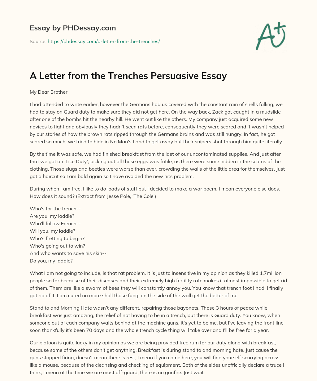 A Letter from the Trenches Persuasive Essay essay