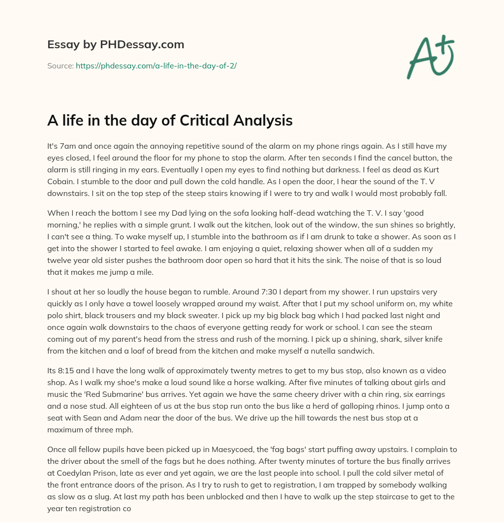 A life in the day of Critical Analysis essay