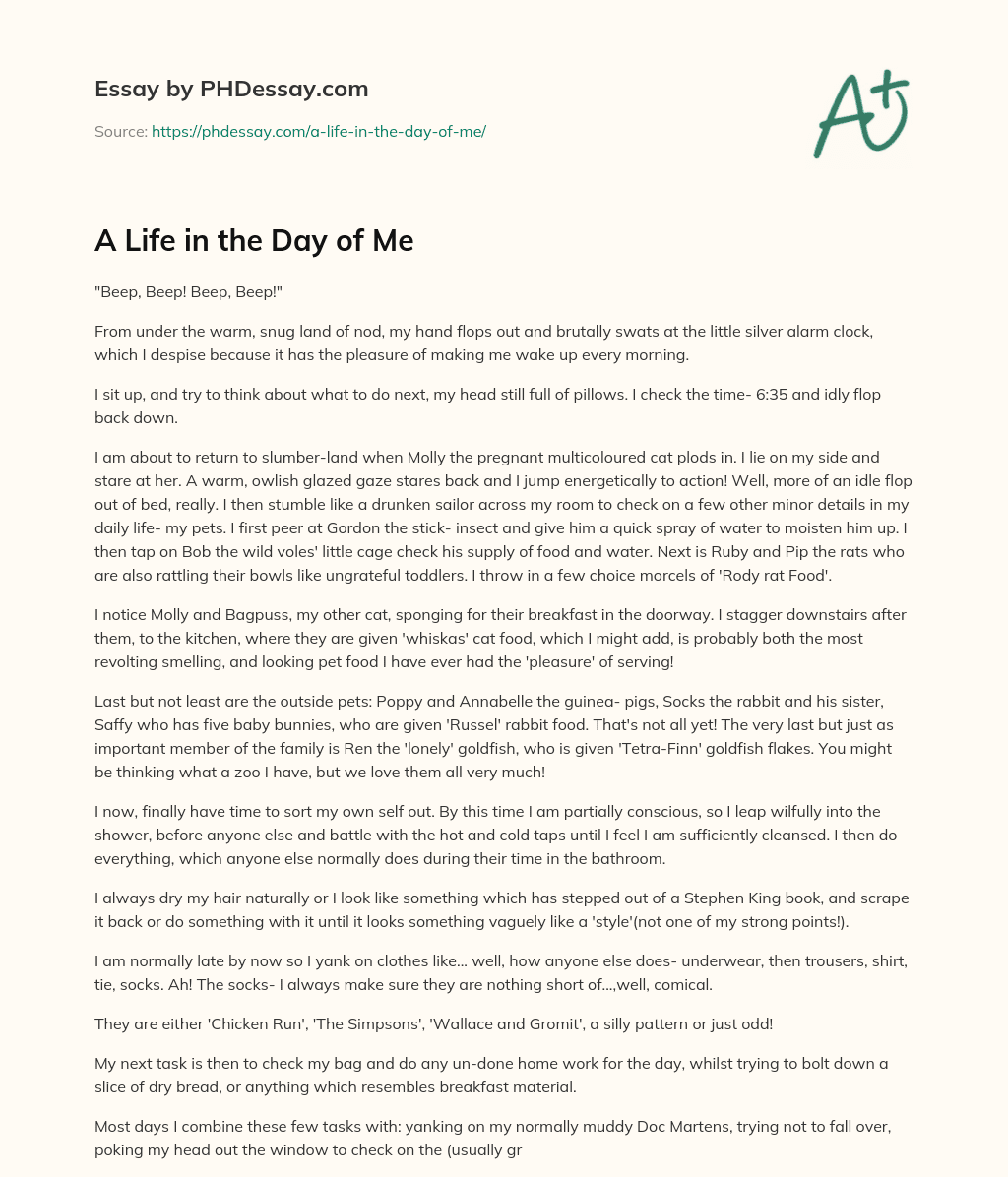 A Life in the Day of Me essay