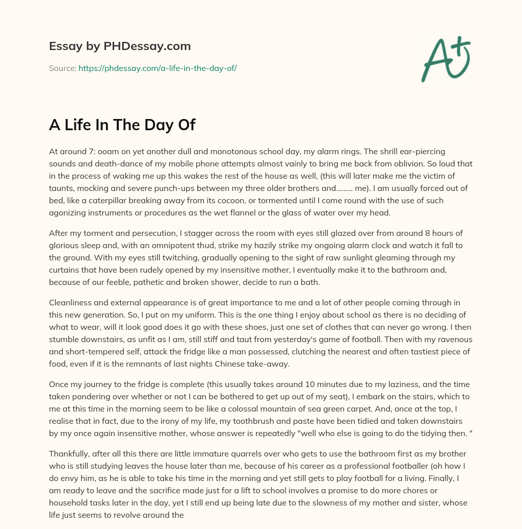 A Life In The Day Of essay