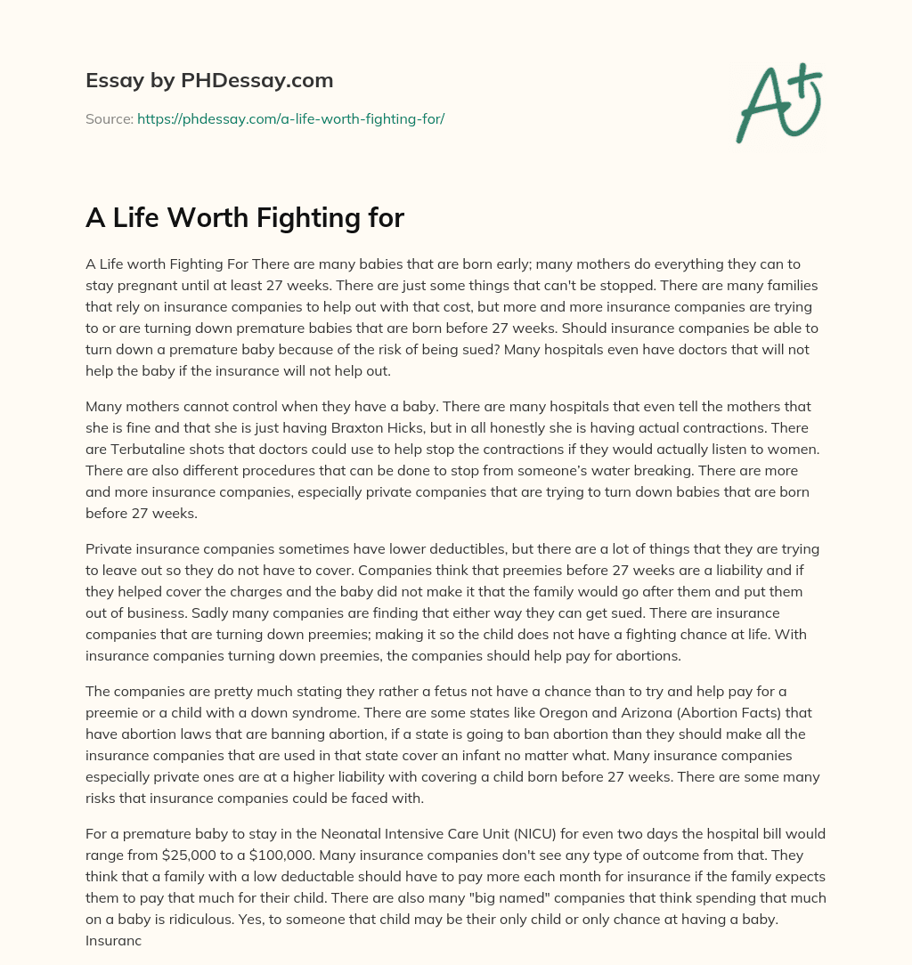 A Life Worth Fighting for essay