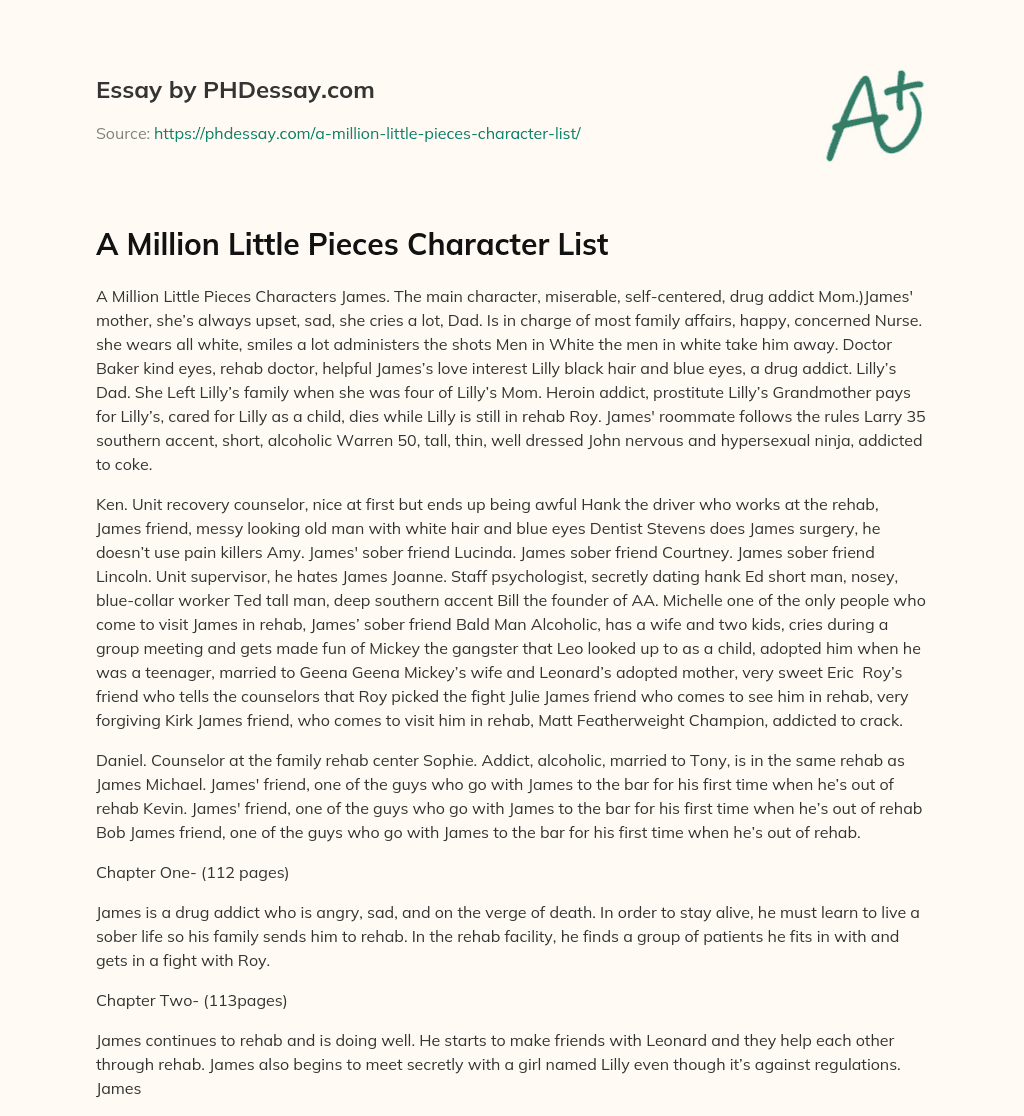 A Million Little Pieces Character List essay