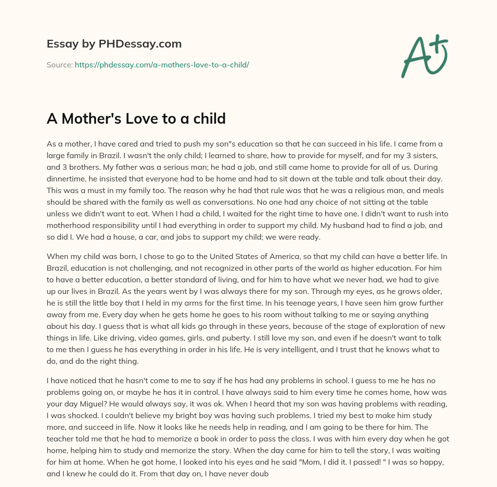 A Mother’s Love to a child essay