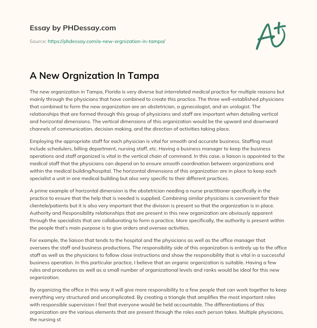 A New Orgnization In Tampa essay