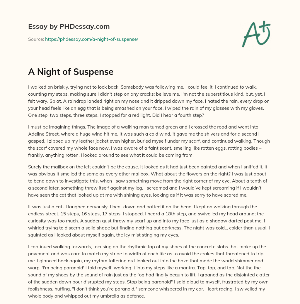A Night of Suspense essay