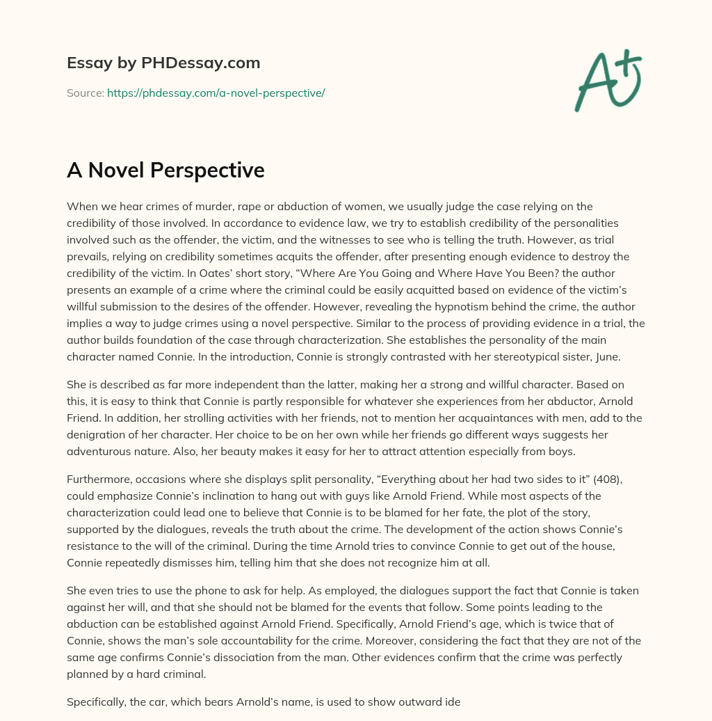 A Novel Perspective essay