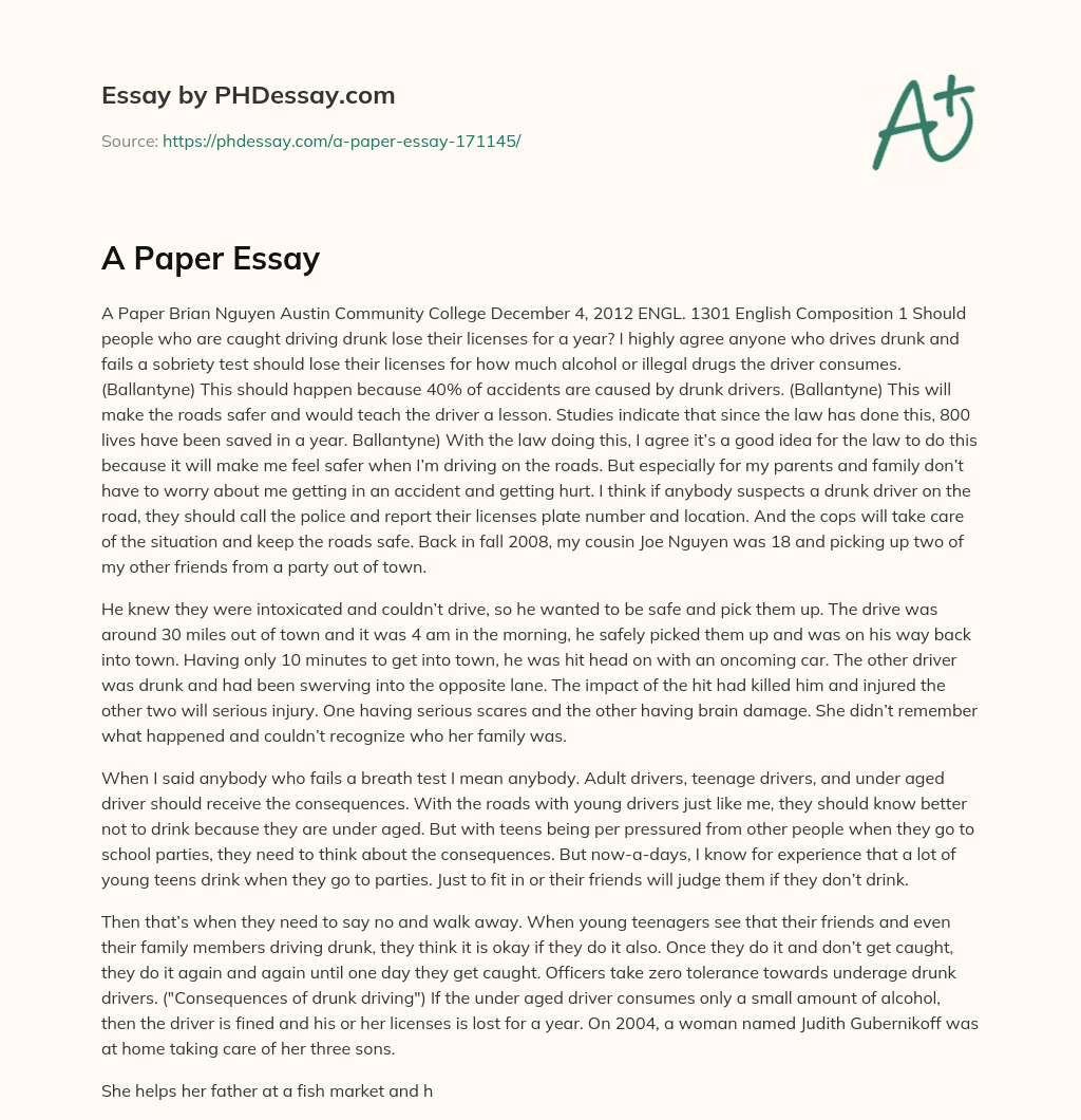 A Paper Essay essay