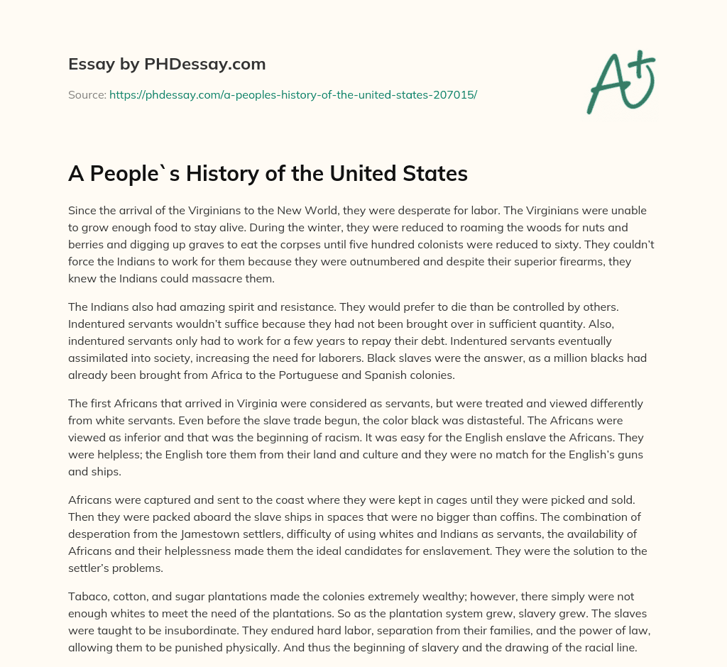 A People`s History of the United States essay
