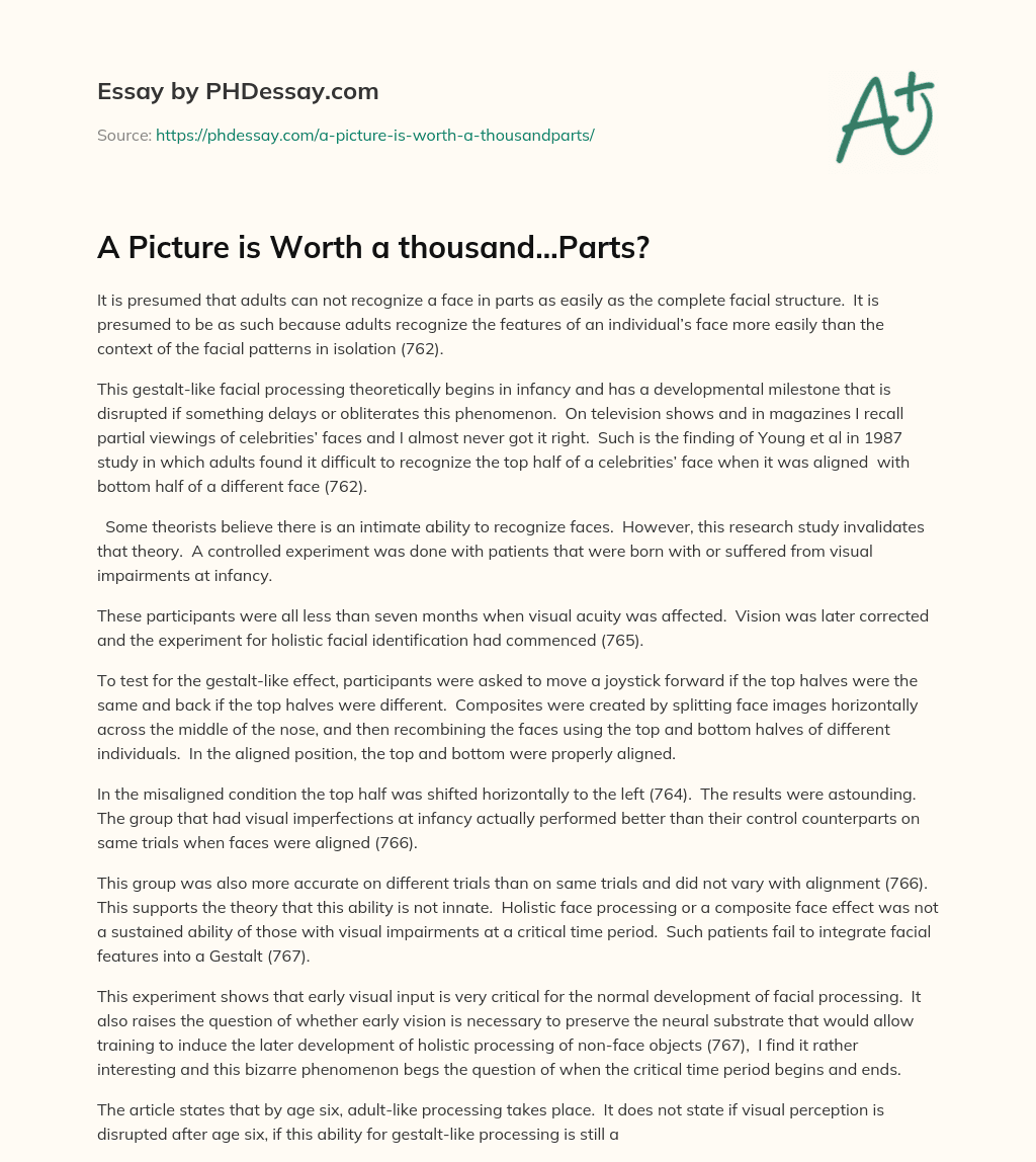 A Picture is Worth a thousand…Parts? essay