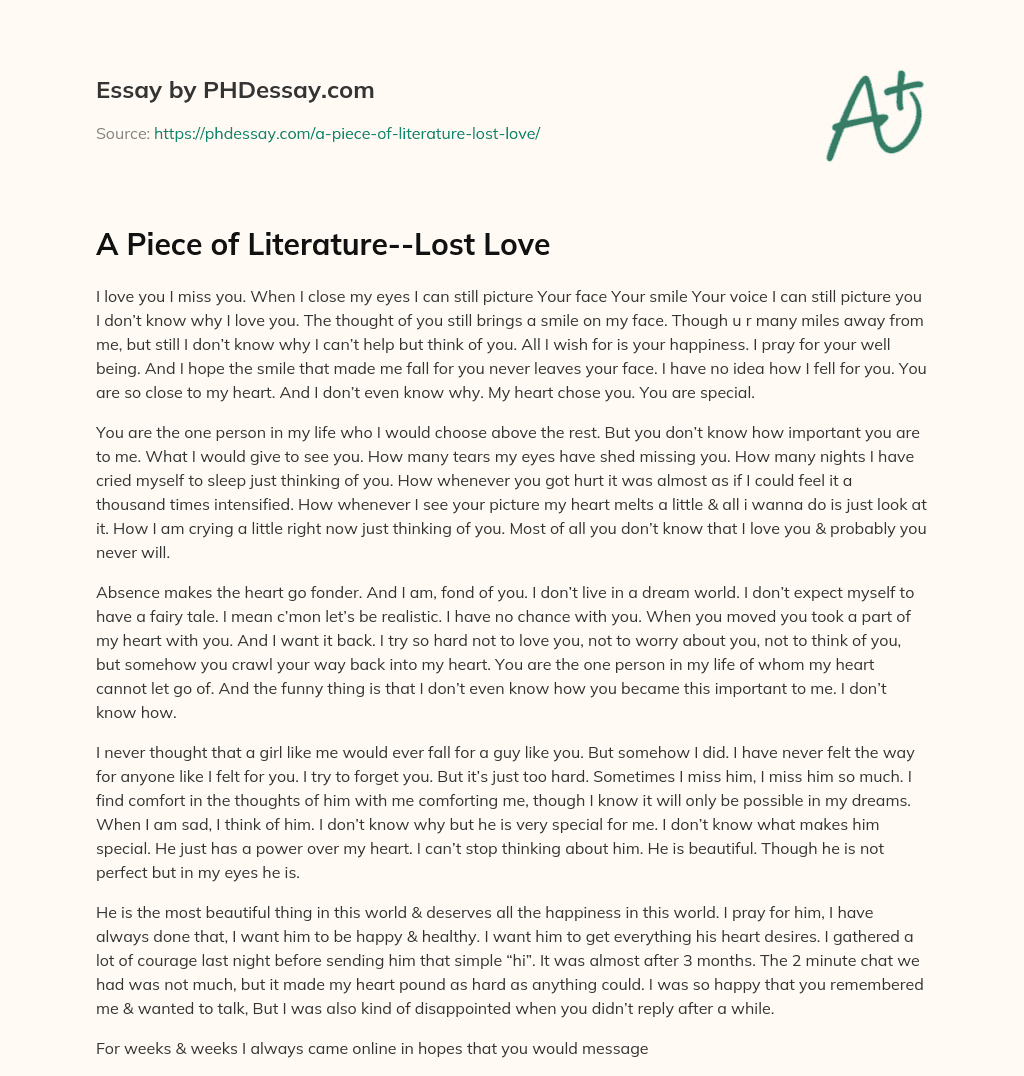 A Piece of Literature–Lost Love essay