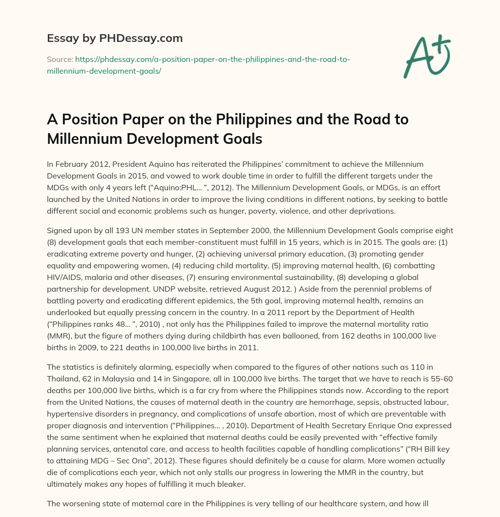 A Position Paper on the Philippines and the Road to Millennium Development Goals essay
