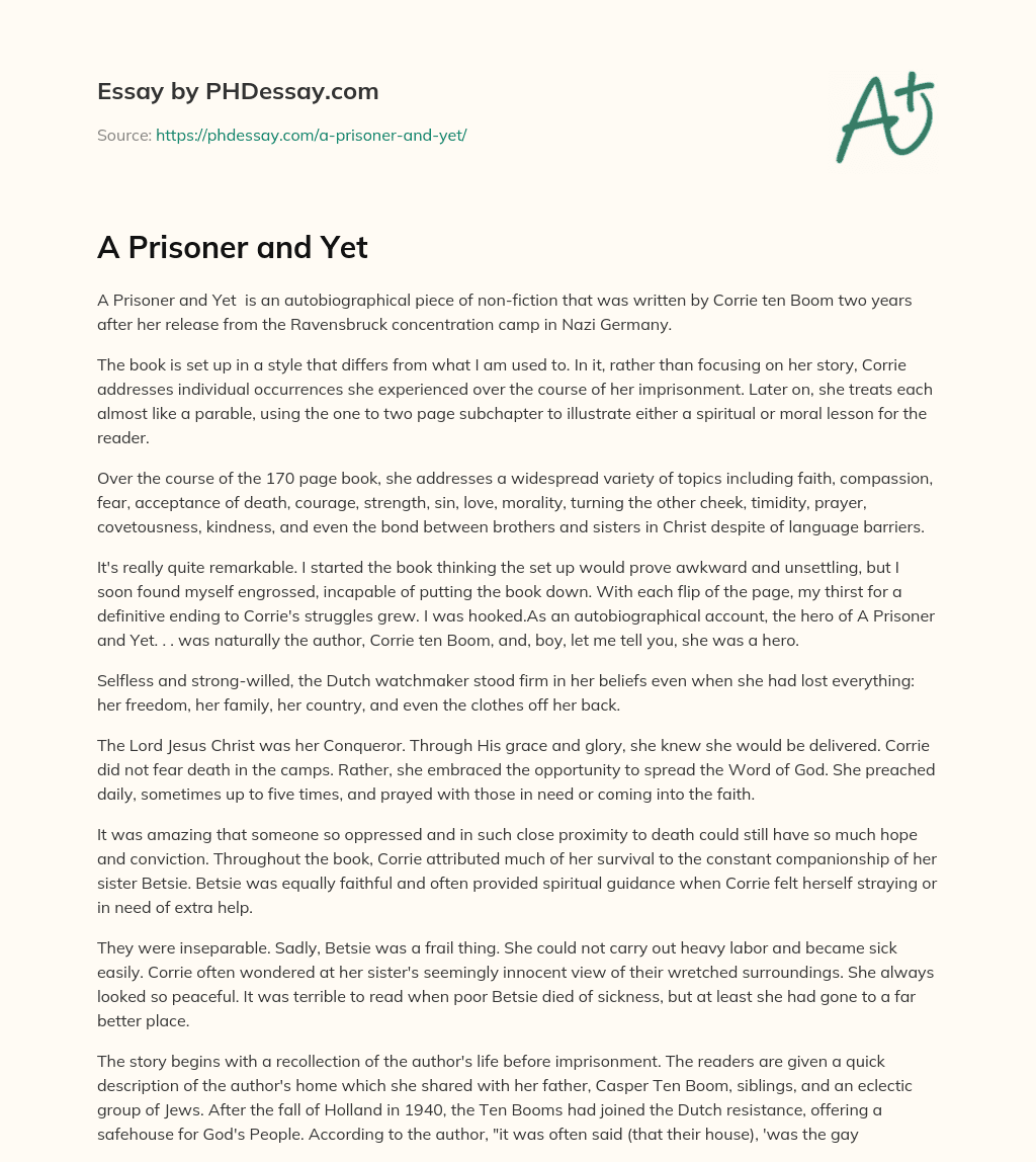 A Prisoner and Yet essay
