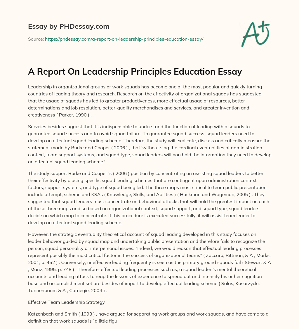 A Report On Leadership Principles Education Essay essay