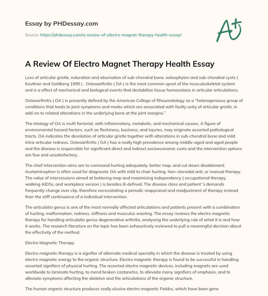 A Review Of Electro Magnet Therapy Health Essay essay