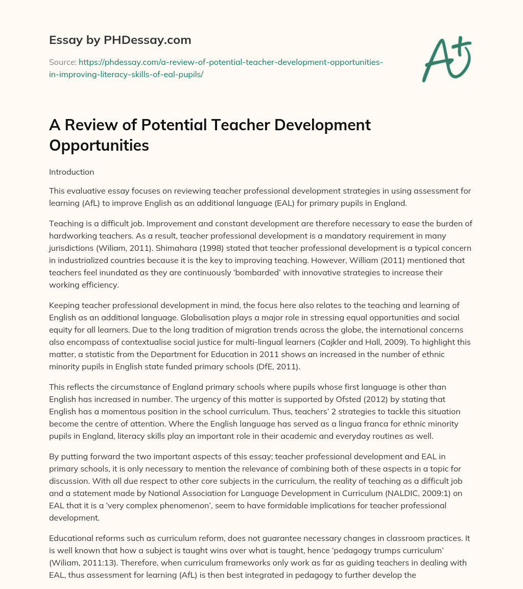 A Review of Potential Teacher Development Opportunities essay